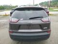 Granite Crystal Metallic - Cherokee Latitude Plus Photo No. 4