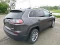 Granite Crystal Metallic - Cherokee Latitude Plus Photo No. 5