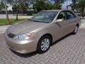 Desert Sand Mica - Camry LE Photo No. 73