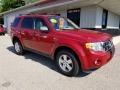 Sangria Red Metallic - Escape XLT Photo No. 7