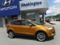 2016 Electric Spice Metallic Ford Escape SE 4WD  photo #2