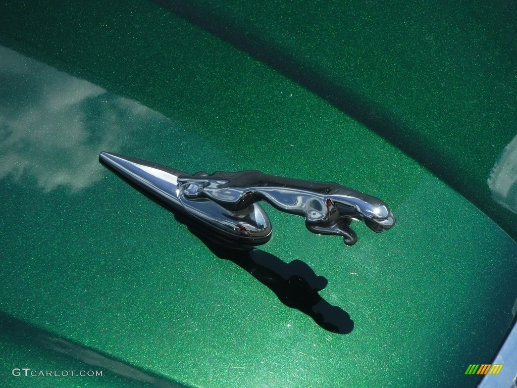 2006 X-Type 3.0 - Jaguar Racing Green Metallic / Champagne photo #3