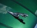 Jaguar Racing Green Metallic - X-Type 3.0 Photo No. 3