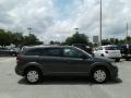 2018 Bruiser Grey Dodge Journey SE  photo #6