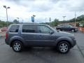 Polished Metal Metallic - Pilot Touring 4WD Photo No. 10