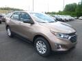 Sandy Ridge Metallic - Equinox LS AWD Photo No. 7