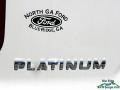 White Platinum - Explorer Platinum 4WD Photo No. 34