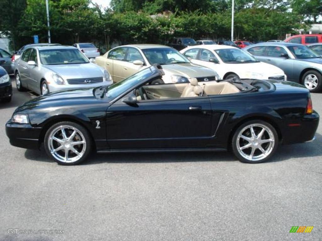 1999 Mustang SVT Cobra Convertible - Black / Medium Parchment photo #2