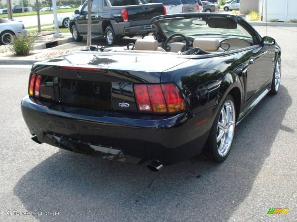 1999 Mustang SVT Cobra Convertible - Black / Medium Parchment photo #5