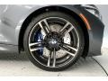 2018 BMW M2 Coupe Wheel and Tire Photo