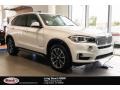 Alpine White - X5 sDrive35i Photo No. 1
