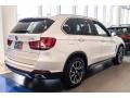 Alpine White - X5 sDrive35i Photo No. 3