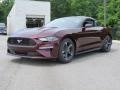 2018 Royal Crimson Ford Mustang EcoBoost Fastback  photo #3