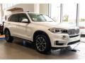 Alpine White - X5 sDrive35i Photo No. 11