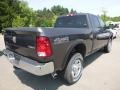 Granite Crystal Metallic - 2500 Tradesman Crew Cab 4x4 Photo No. 5