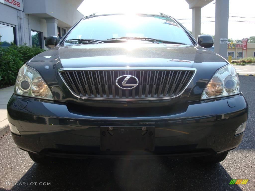 2004 RX 330 AWD - Black Forest Green Pearl / Ivory photo #3