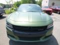 F8 Green - Charger GT AWD Photo No. 8