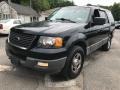 2003 Black Clearcoat Ford Expedition XLT 4x4  photo #2