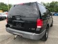 Black Clearcoat - Expedition XLT 4x4 Photo No. 7