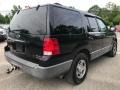 Black Clearcoat - Expedition XLT 4x4 Photo No. 9