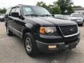 Black Clearcoat - Expedition XLT 4x4 Photo No. 10