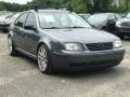 2003 Platinum Grey Metallic Volkswagen Jetta GLI Sedan  photo #10