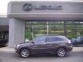 2009 Truffle Mica Lexus RX 350 AWD Pebble Beach Edition  photo #2