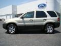 2006 Gold Ash Metallic Ford Escape XLT V6  photo #5