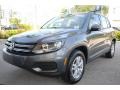 Pepper Gray Metallic - Tiguan S Photo No. 5