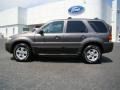 2006 Dark Shadow Grey Metallic Ford Escape XLT V6 4WD  photo #5