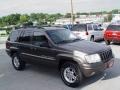 2000 Taupe Frost Metallic Jeep Grand Cherokee Limited 4x4  photo #2