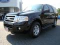 Black - Expedition XLT 4x4 Photo No. 6