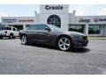 Granite Pearl 2018 Dodge Charger R/T