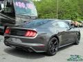 2018 Magnetic Ford Mustang EcoBoost Fastback  photo #5