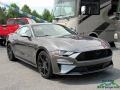 2018 Magnetic Ford Mustang EcoBoost Fastback  photo #7