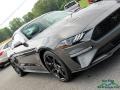 2018 Magnetic Ford Mustang EcoBoost Fastback  photo #27