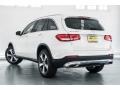 Polar White - GLC 300 Photo No. 3