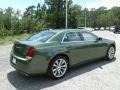 Green Metallic - 300 Touring Photo No. 5