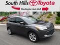 Magnetic Metallic 2015 Ford Escape SE