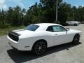 White Knuckle - Challenger R/T Photo No. 5