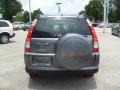 Pewter Pearl - CR-V SE 4WD Photo No. 4