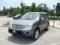 Pewter Pearl - CR-V SE 4WD Photo No. 7