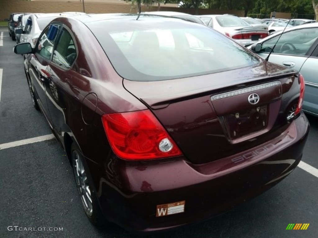 2006 tC  - Black Cherry Pearl / Dark Charcoal photo #3