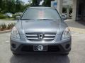 2006 Pewter Pearl Honda CR-V SE 4WD  photo #8