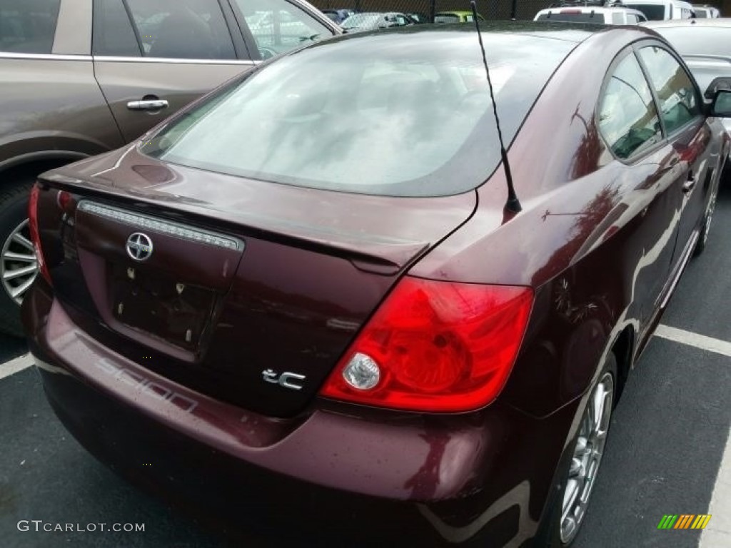 2006 tC  - Black Cherry Pearl / Dark Charcoal photo #4