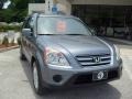 Pewter Pearl - CR-V SE 4WD Photo No. 9