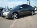 2009 Willow Gray Hyundai Sonata Limited V6  photo #2