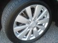 2009 Willow Gray Hyundai Sonata Limited V6  photo #25