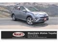 Magnetic Gray Metallic - RAV4 XLE Photo No. 1