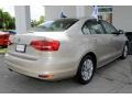 Moonrock Silver Metallic - Jetta SE Sedan Photo No. 10